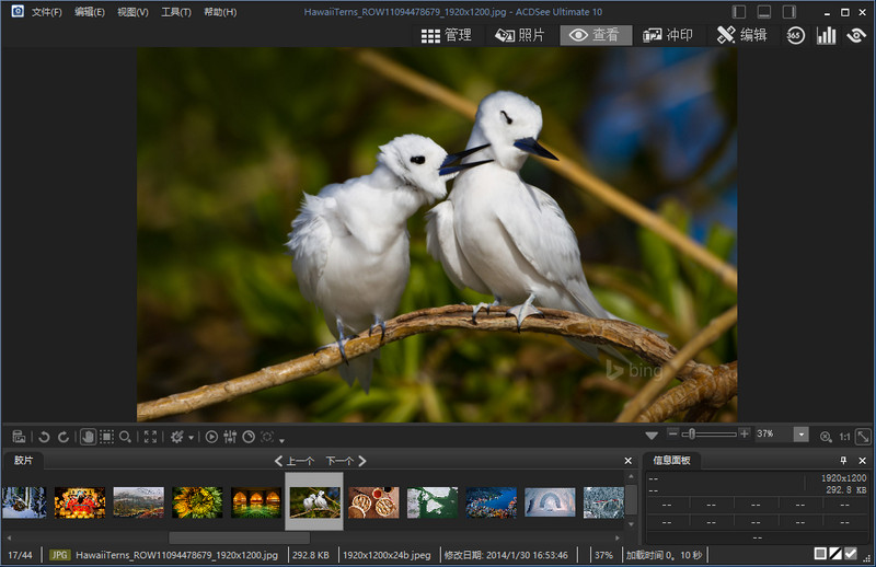 ACDSee Ultimate 10.4.0 汉化破解补丁