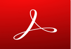 Adobe Acrobat Reader DC v25.001.20997
