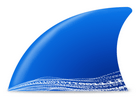 网络抓包工具Wireshark v4.4.7.0 中文绿色版