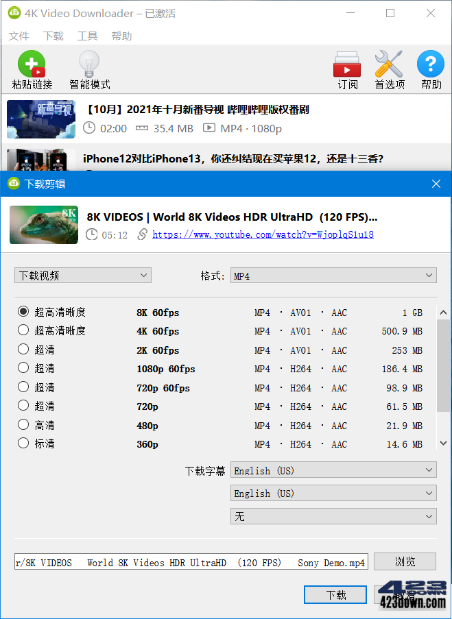 4K Video Downloader_v4.33.3.0163破解版