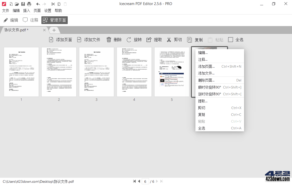IceCream PDF Editor Pro v3.28 中文破解版