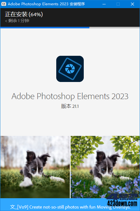 Adobe Photoshop Elements 2023_v21.1.0