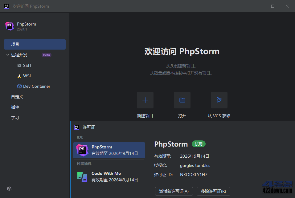 PhpStorm2025中文激活版2025.3.1.0正式版