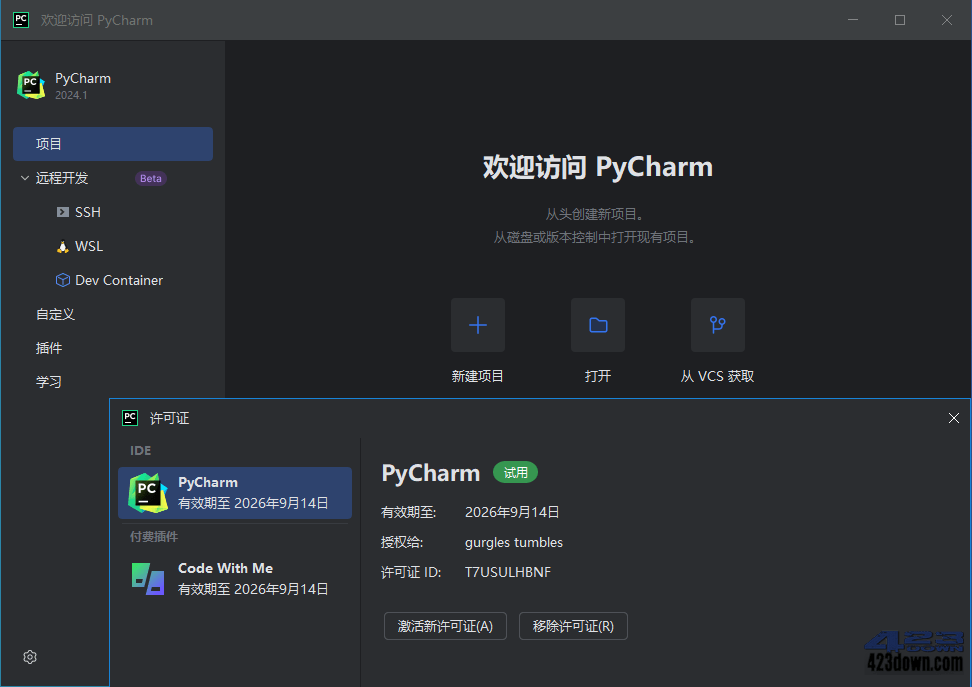 PyCharm2025中文激活版v2025.3.1.0正式版