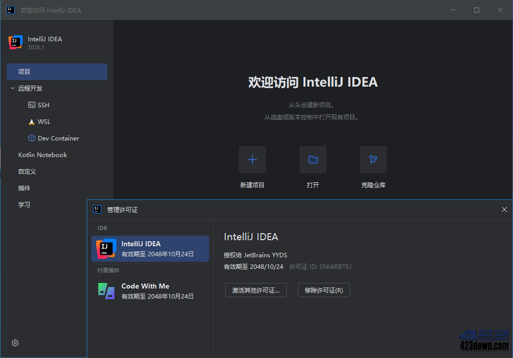 idea2025中文激活版IDEA 2025.3.1.0 正式版
