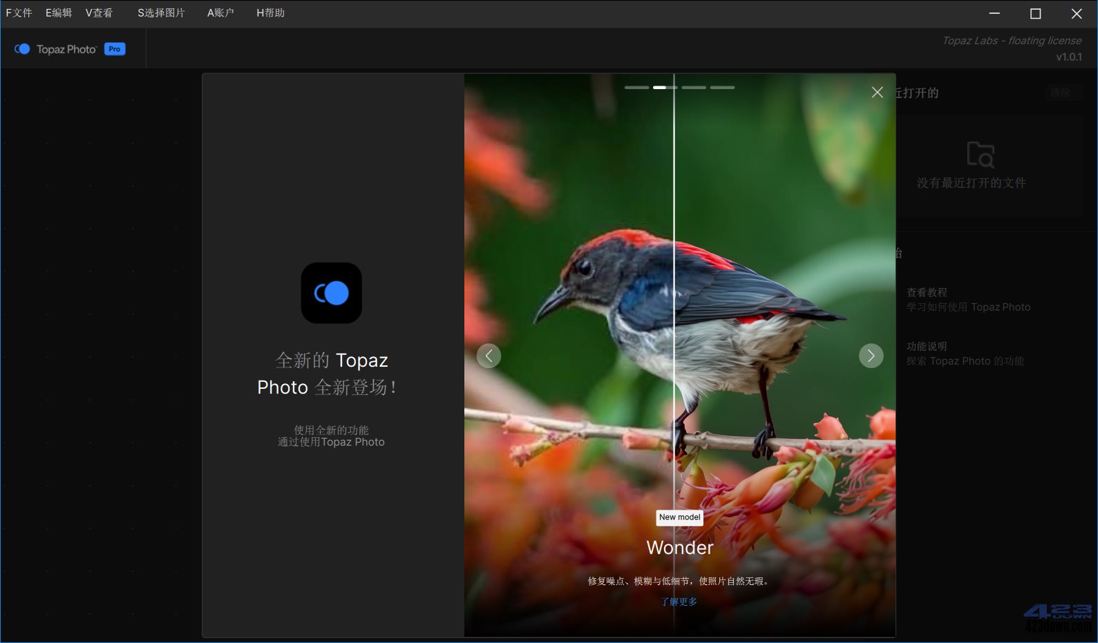 Topaz Photo汉化破解版v1.0.1.0 绿色便携版
