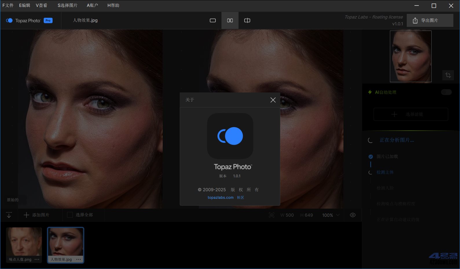 Topaz Photo汉化破解版v1.0.1.0 绿色便携版